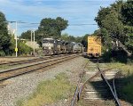 NS 6954, NS 1169, NS 1154, MEC 7517, NS 4237 & NS 6964